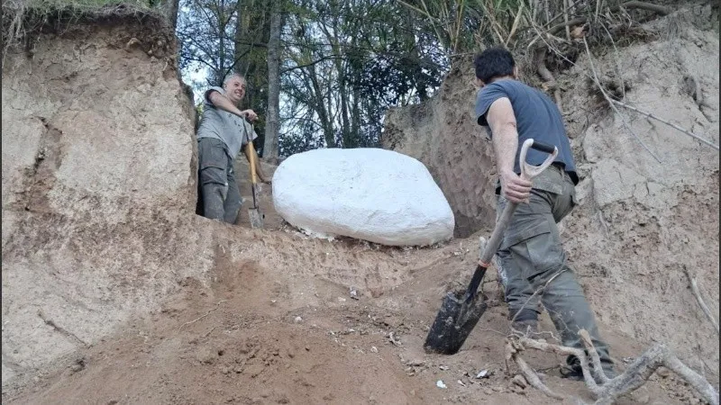 Impresionante hallazgo paleontológico en la región: encontraron un cráneo de mastodonte