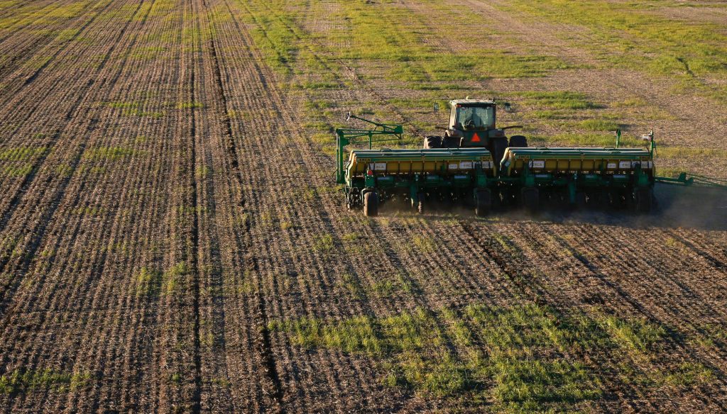 Nuevo impulso para la siembra de trigo y cebada en medio de contrastes climáticos