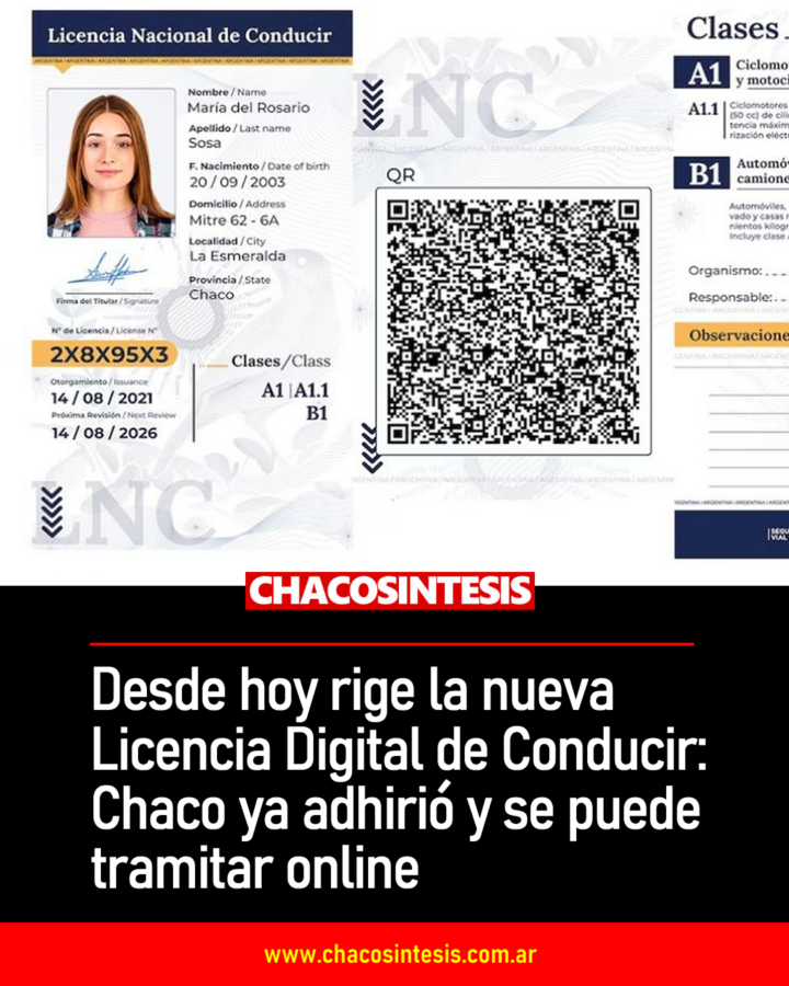 Desde hoy rige la nueva Licencia Digital de Conducir: Chaco ya adhirió y se puede tramitar completamente online