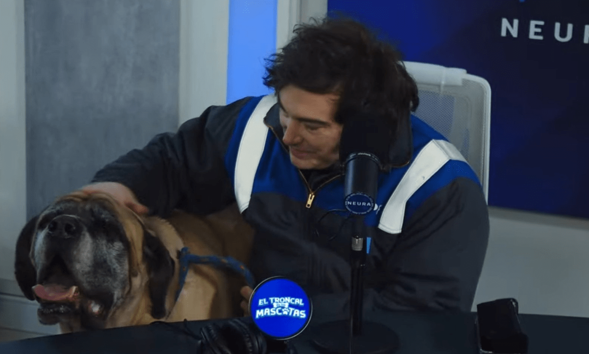 “Es de verdad”: Javier Milei apareció con su perro Conan en un canal de streaming