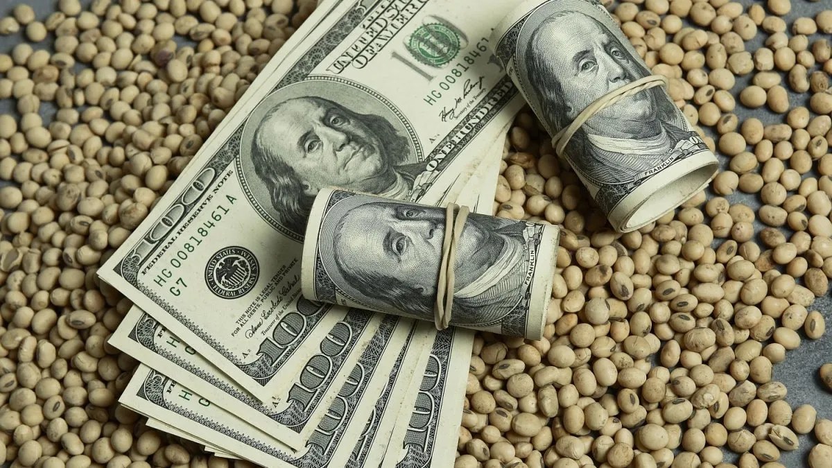 Cae la cotización del dólar este miércoles: los motivos