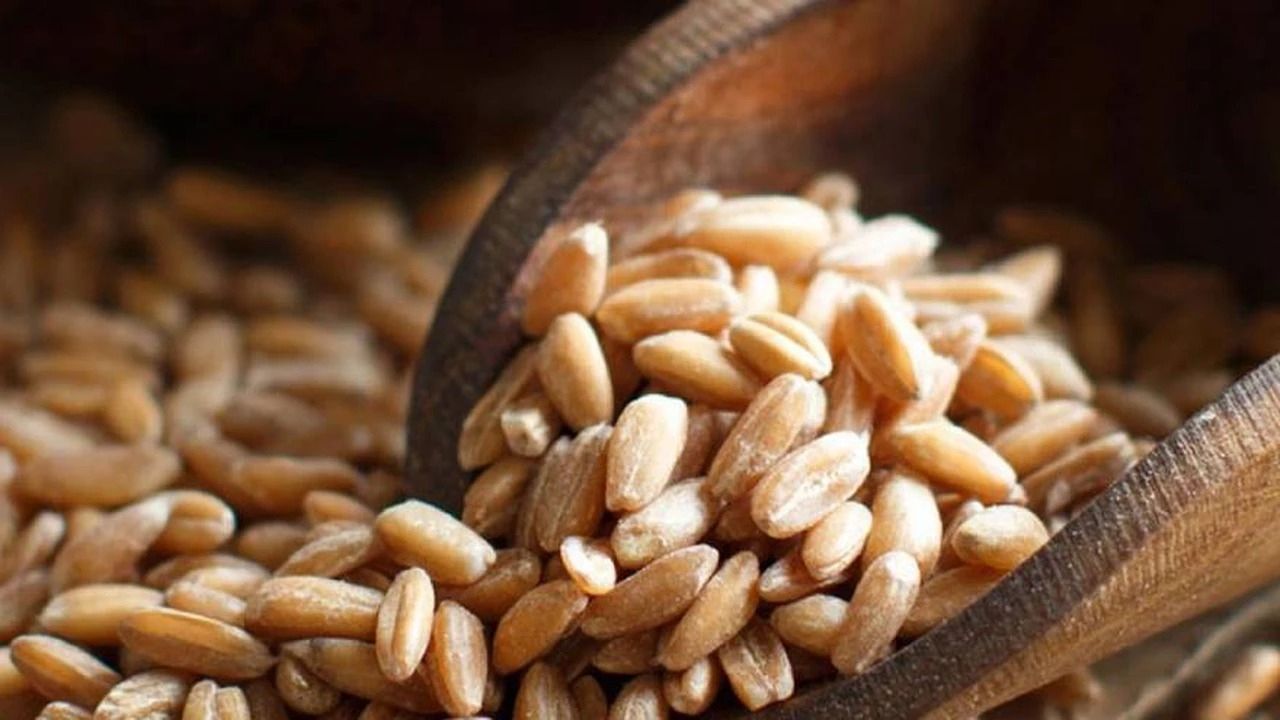 Cómo se cocina el arroz yamaní: lo que tenés que saber