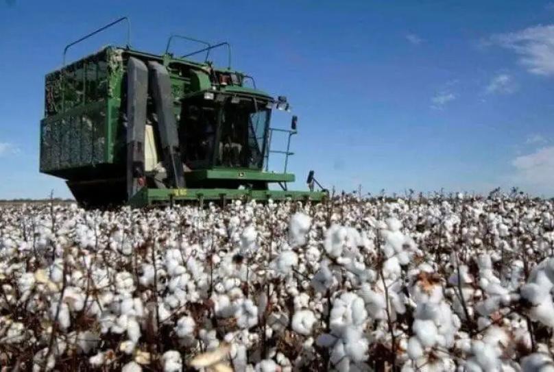 EL CONSEJO FEDERAL AGROPECUARIO SE REÚNE EN RESISTENCIA
