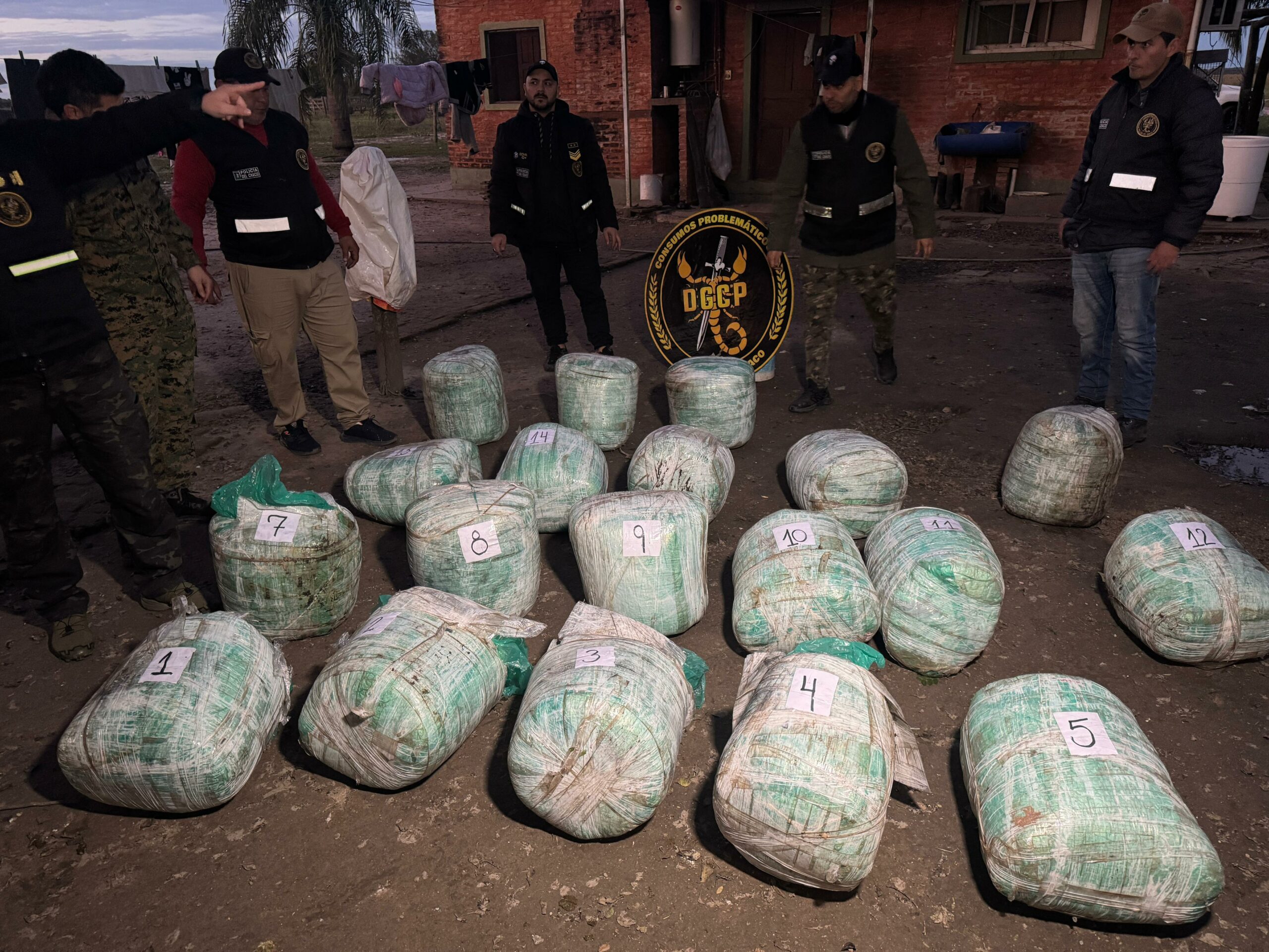 DURO GOLPE A LAS NARCO BANDAS: MÁS DE 230 KILOS DE MARIHUANA INCAUTADOS, TRAS ALLANAMIENTO EN UN CAMPO EN LA LEONESA