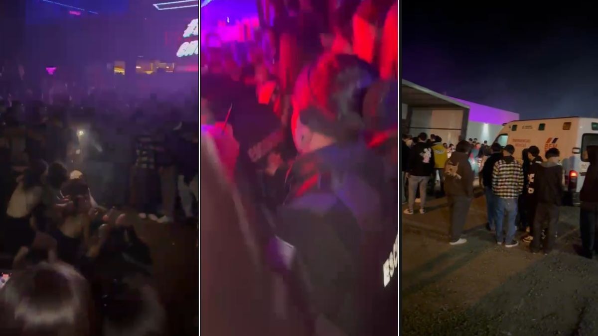 Los videos de la violenta pelea entre chicas en un boliche de Santa Fe