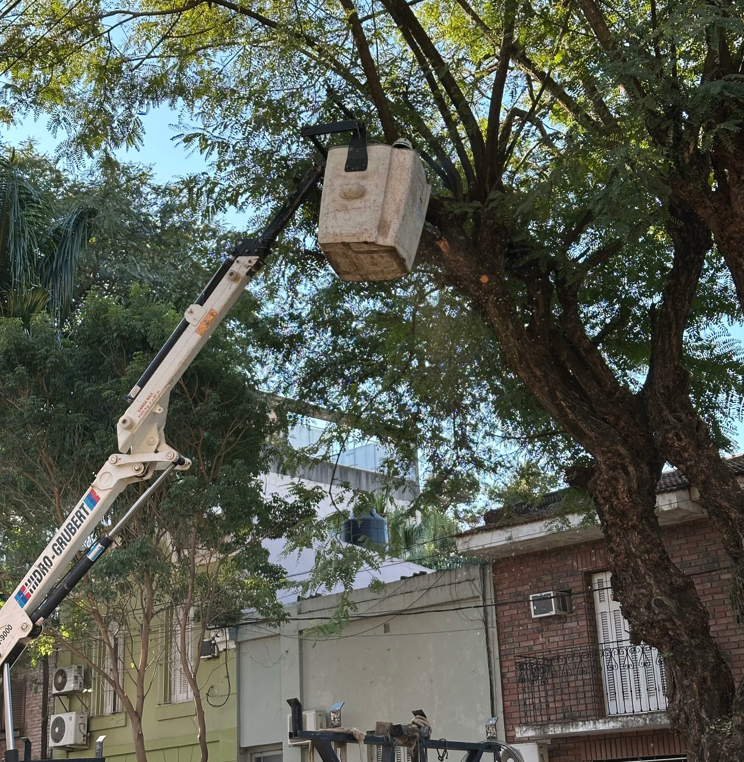 MÁS LUZ, MÁS SEGURIDAD: SECHEEP Y EL MUNICIPIO DE RESISTENCIA AVANZAN CON LA PODA RESPONSABLE